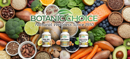 Botanic Choice logo