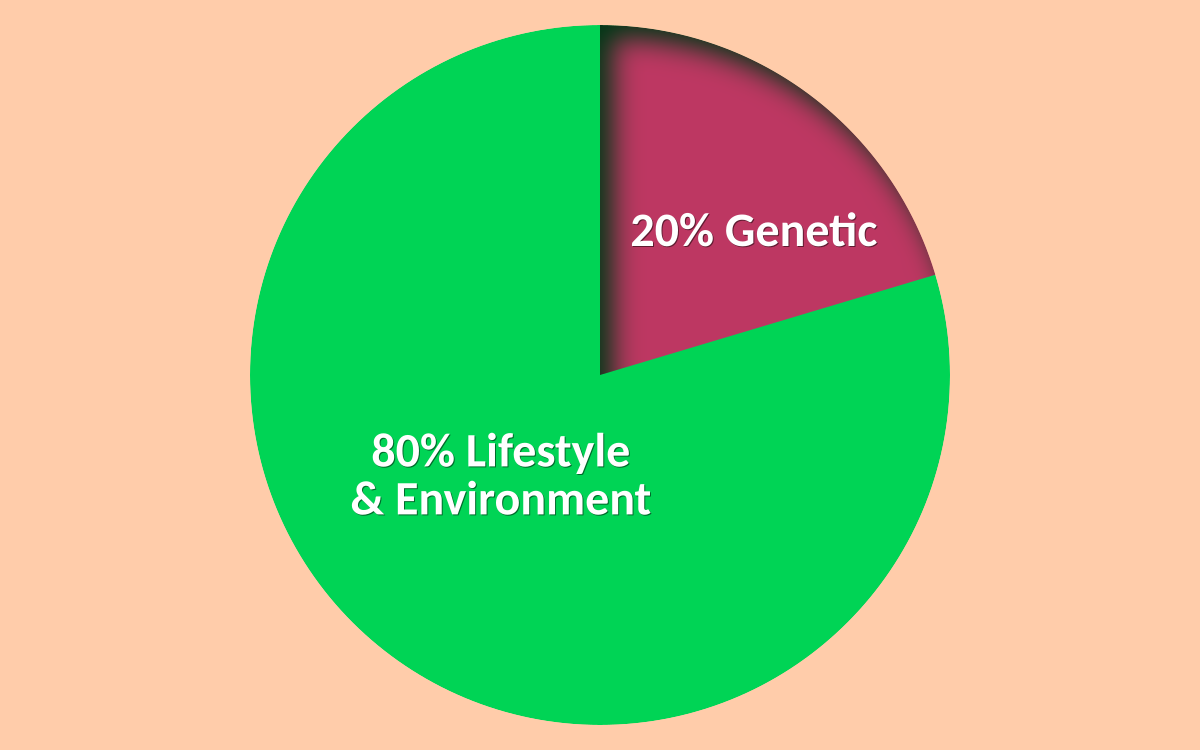 Pie chart showing that 20% of aging is intrinsic (genetic) and 80% is extrinsic (lifestyle and environment)