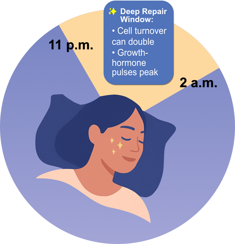 Clock diagram illustrating peak skin repair between 11 p.m. and 2 a.m.