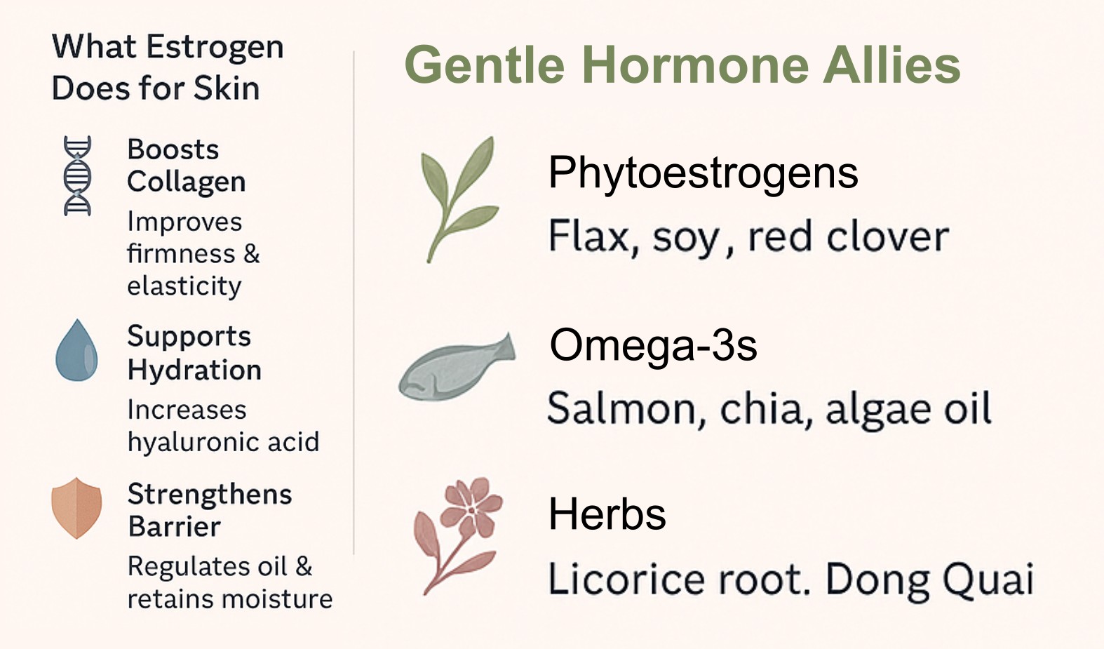 Infographic showing how estrogen supports skin by boosting collagen, enhancing hydration, and strengthening the barrier. It also highlights natural hormone allies like phytoestrogens, omega-3s, and herbs.