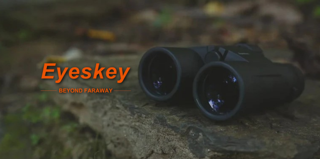 Eyeskey logo