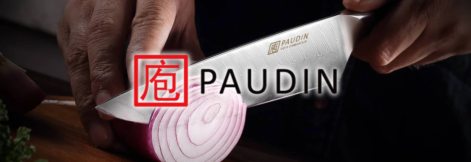 Paudin logo