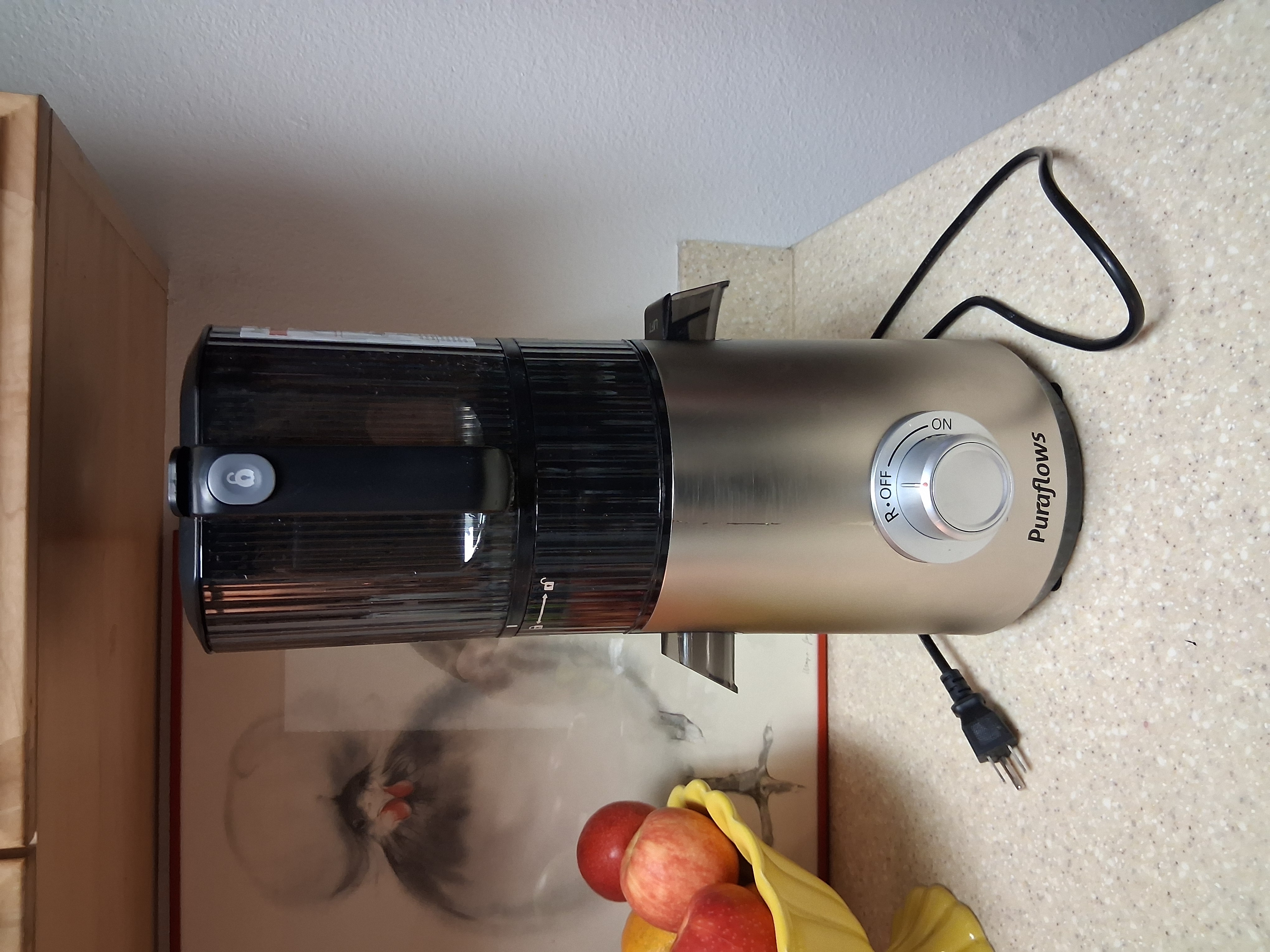 Fully assembled Puraflows Auramist cold press juicer on kitchen counter during setup
