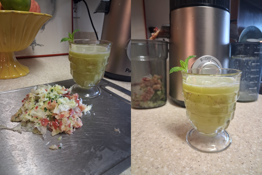 Fresh juice and discharged pulp from produce performance testing with the Puraflows Auramist