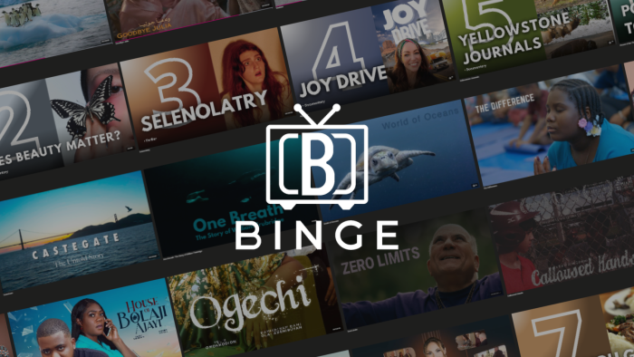 BINGE logo